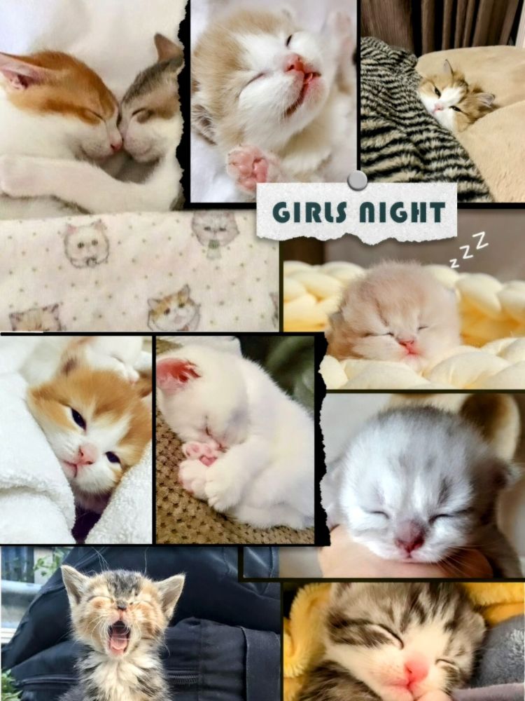 おやすみなさい☆ﾈﾑｲ(´･ωゞ)