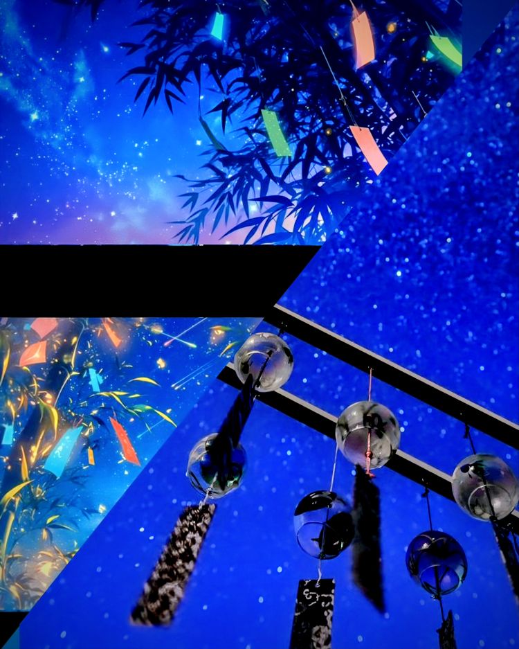 月見美夜日