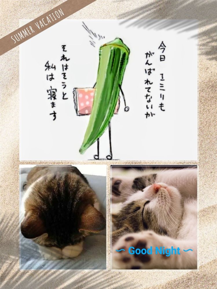 おやすみなさい☆彡