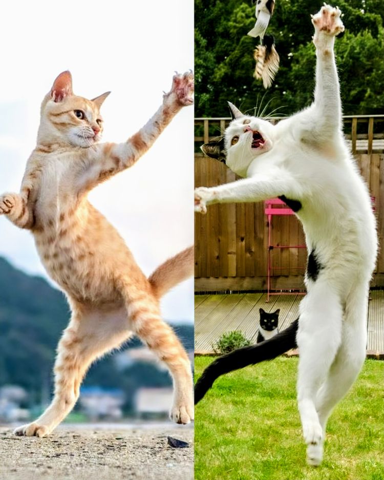 ★『ええねん』★…ウルフルズ