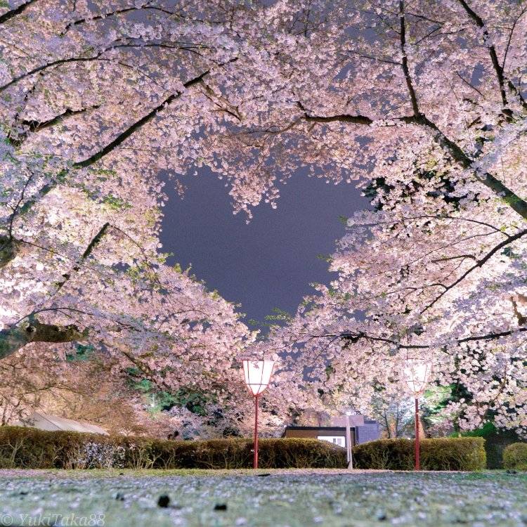 おはよございます