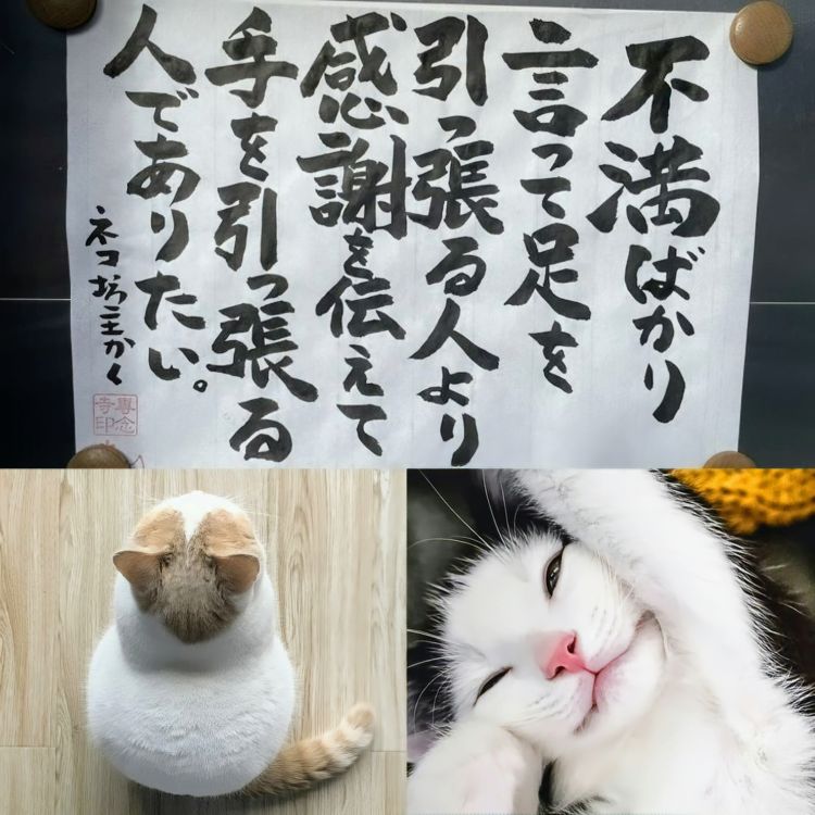 ★出勤報告｡⁠◕⁠‿⁠◕⁠｡★