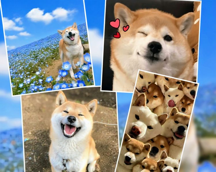 ★本日リクエストのお客様へ★