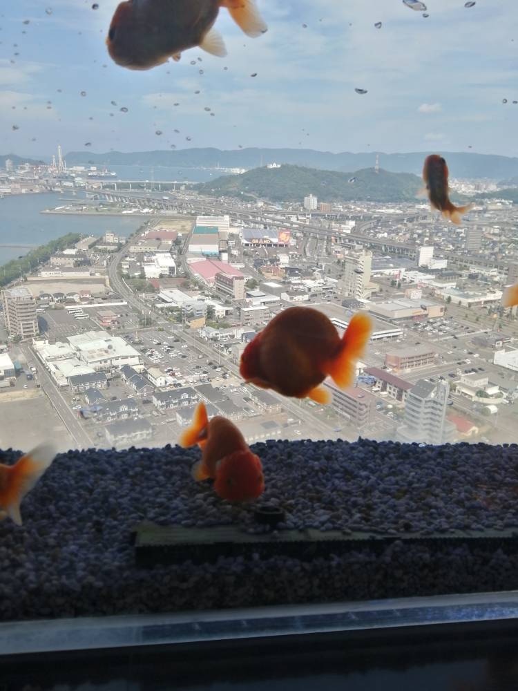 自宅Tさま