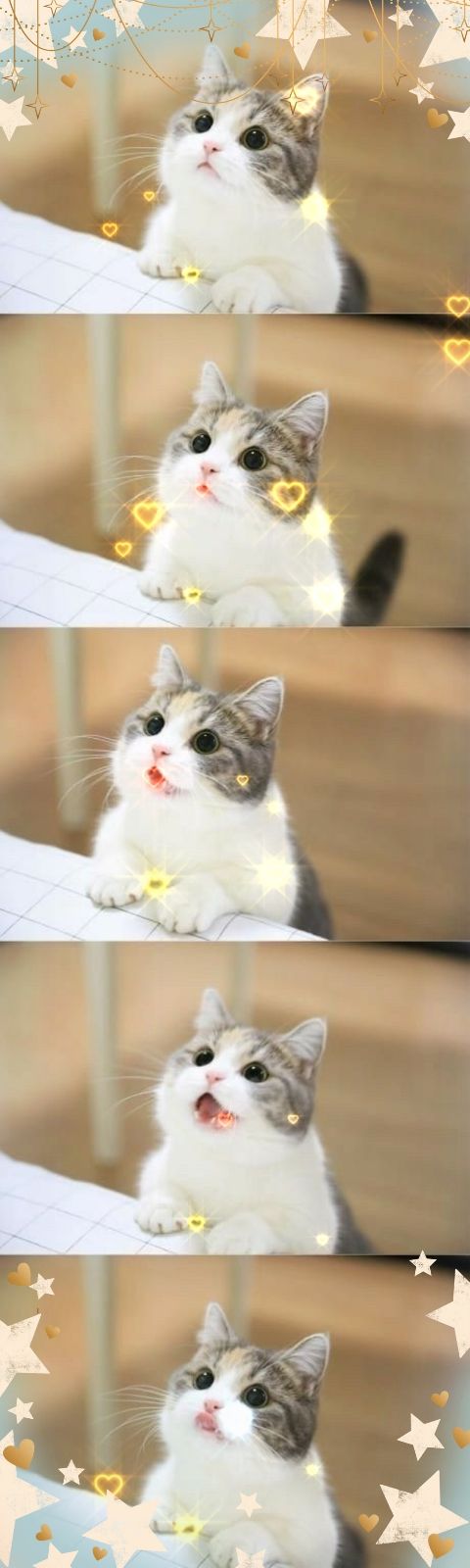おやすみなさい☆彡