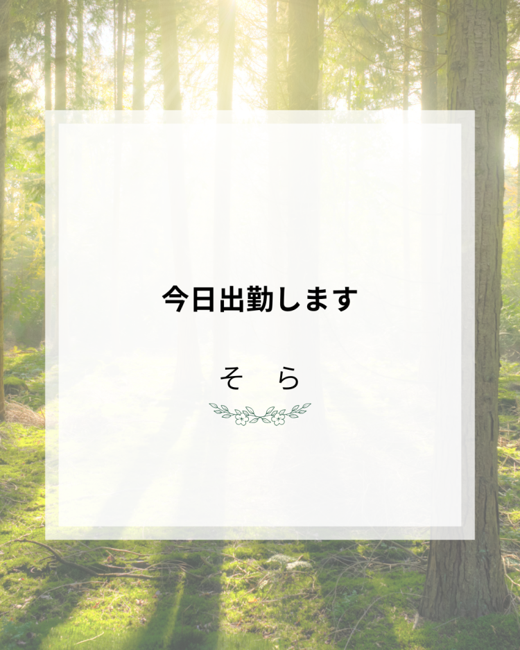 川木そら