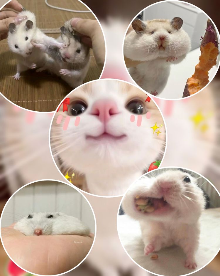 ★本日出勤★｡⁠◕⁠‿⁠◕⁠｡