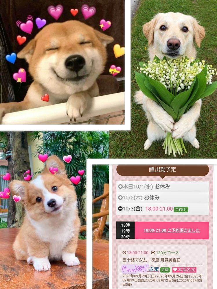 ★いつもの毎週のあなた様へ★