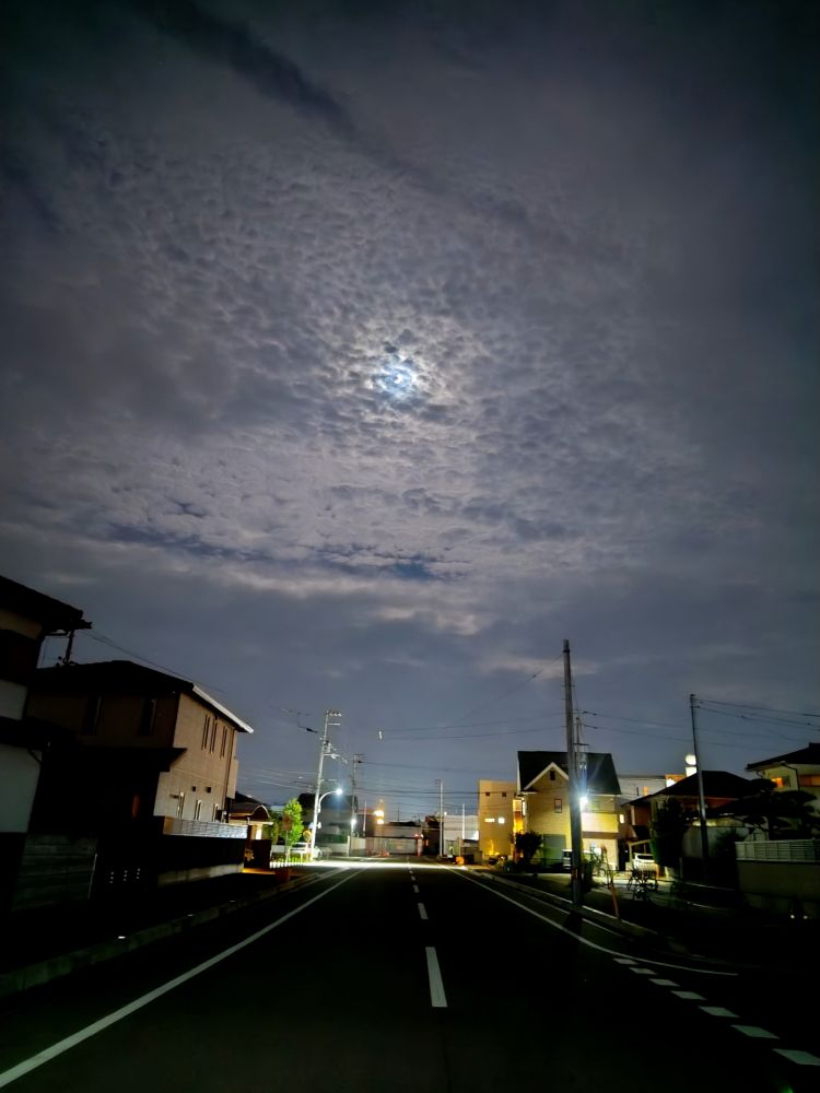 いと、美し…🌛✨️