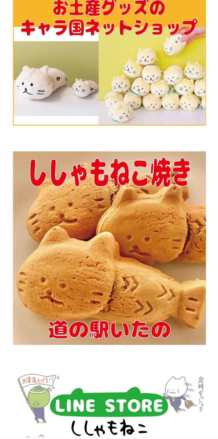 ✧(ΦωΦ)✧ししゃもねことは！？…