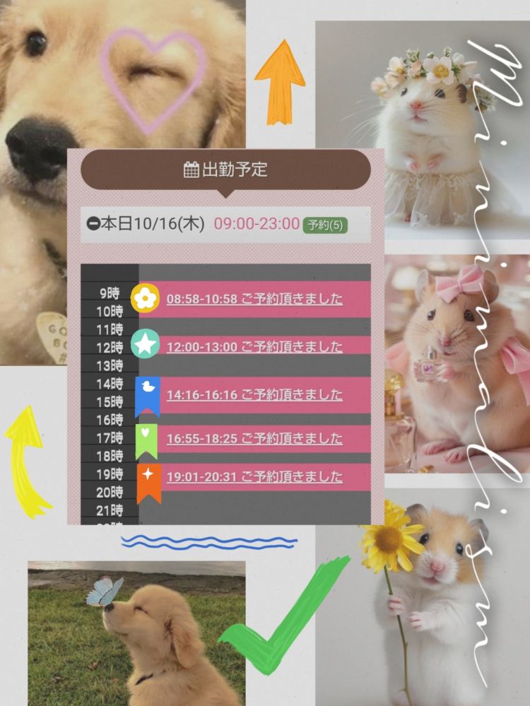 月見美夜日