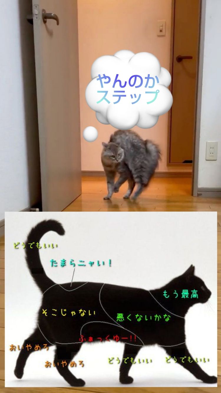月見美夜日