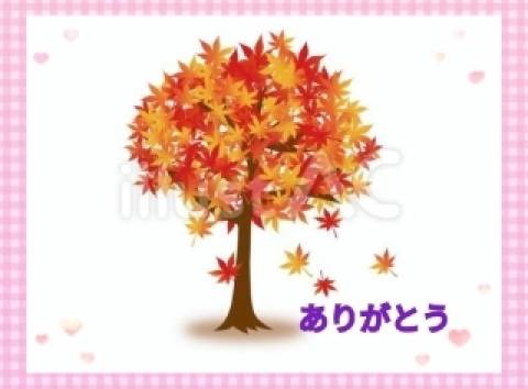 お礼です