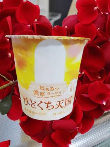 赤神伶花