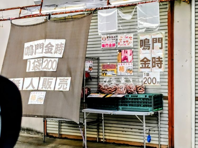 ★武蔵(野良ムサシ)とサツマイモ(・o・)★