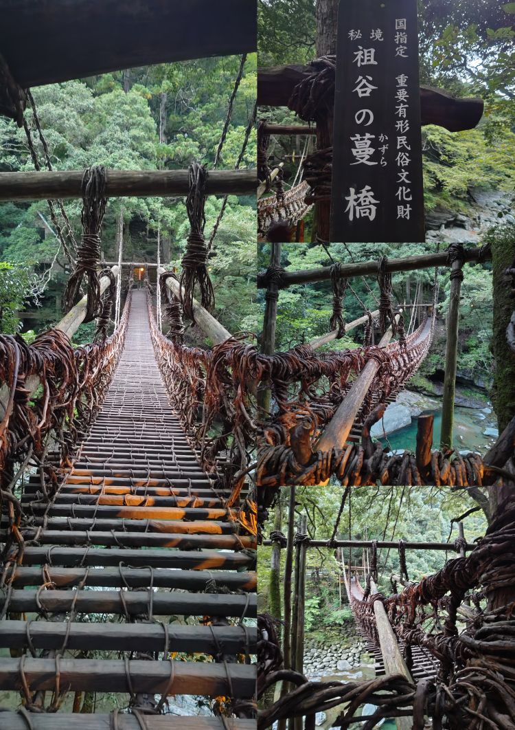 ★祖谷のかずら橋です♪(*^^*)