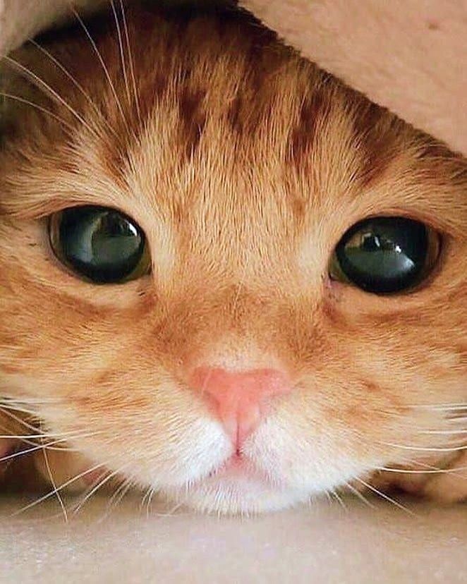 ★出勤の取り止め(¯―¯٥)★