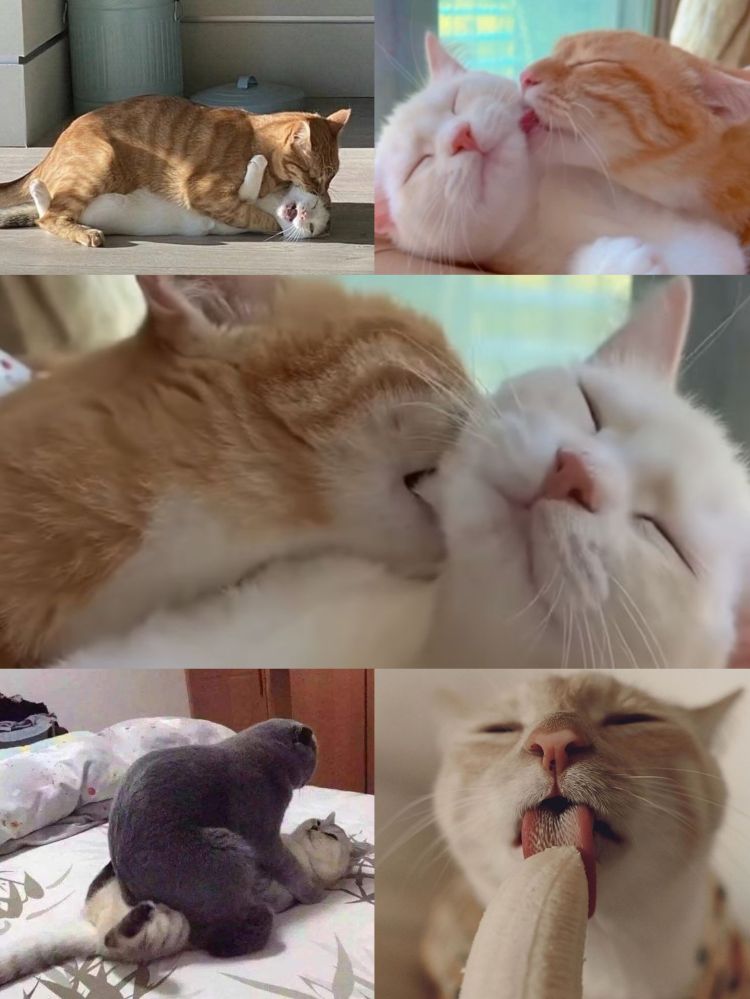 禁欲生活でムラムラする…