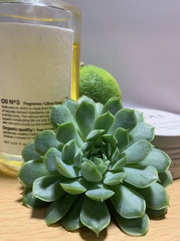 寒い日が続きますがお変わりないでしょうか?