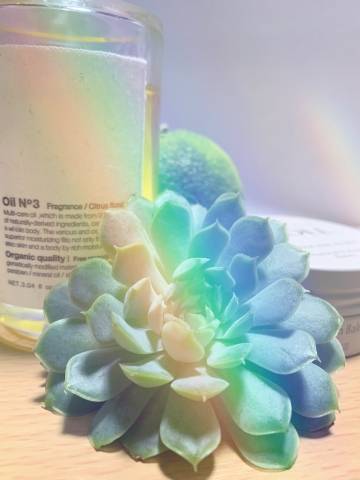 おはようございます♪