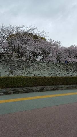 出勤します(^_^)