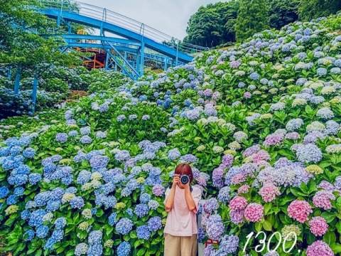 高津　優