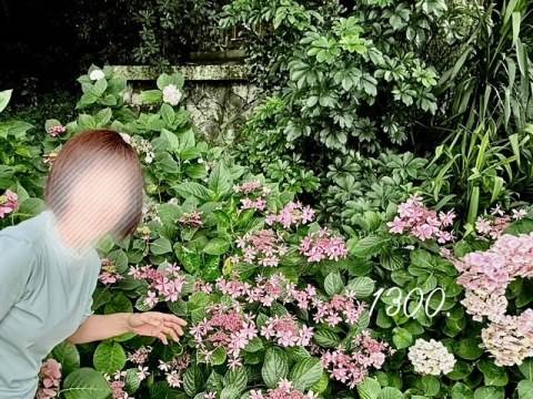 高津　優