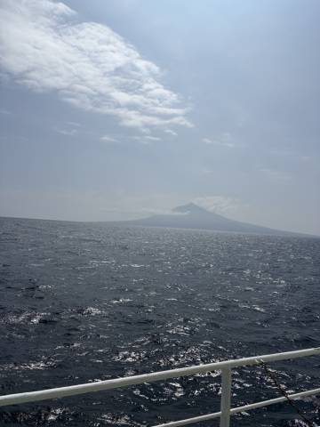 こんにちは♪