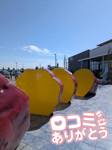 成田みさお
