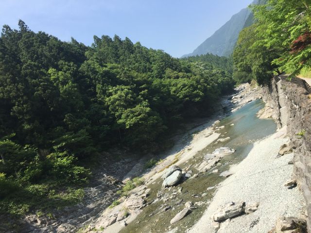 癒される