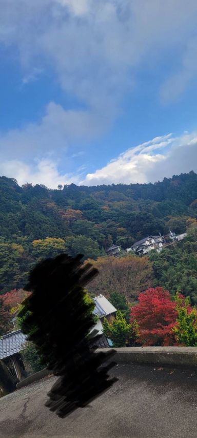 紅葉はついで‥