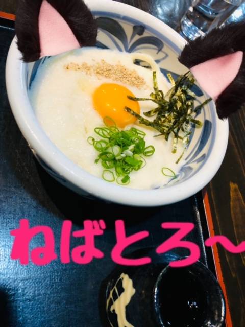 トロロおうどん