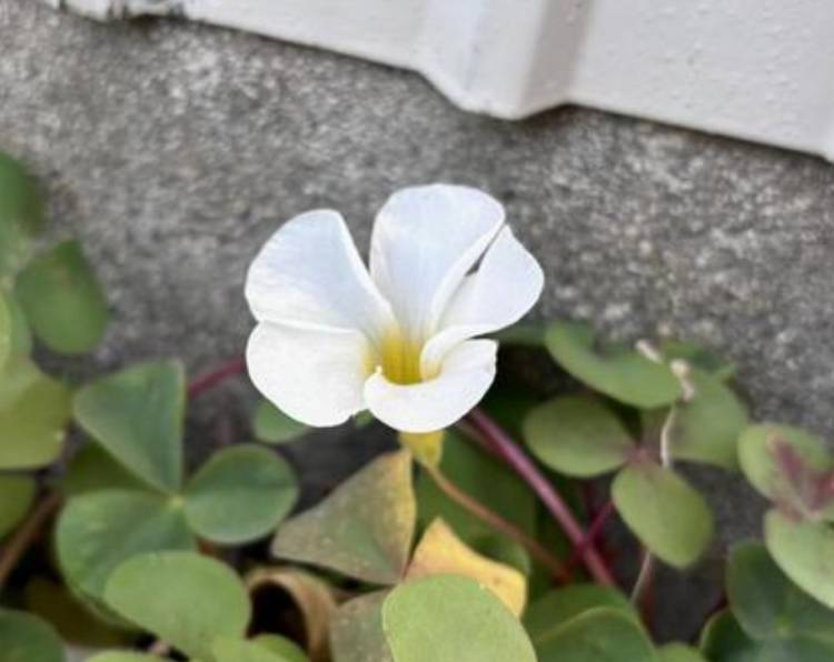 ☆おはようございます☆