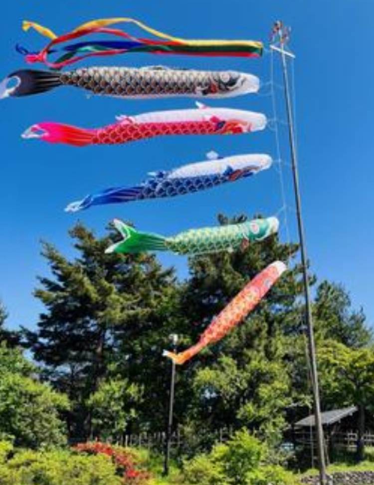 ☆おはようございます☆