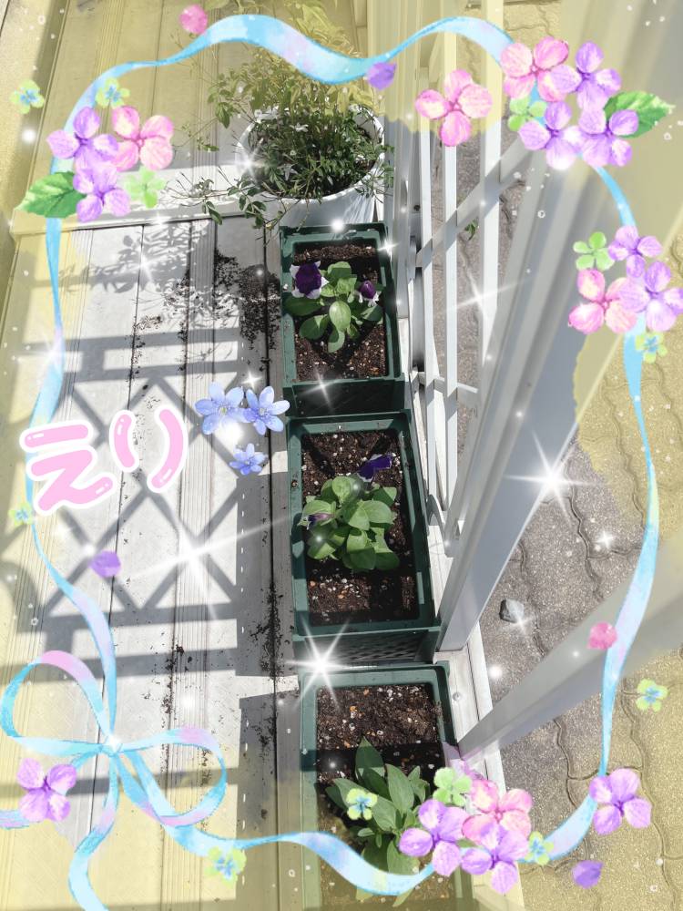 高田恵理