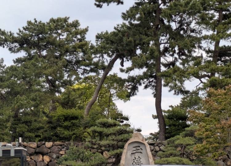 野村咲凪