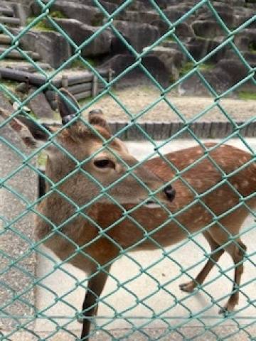 こんにちは