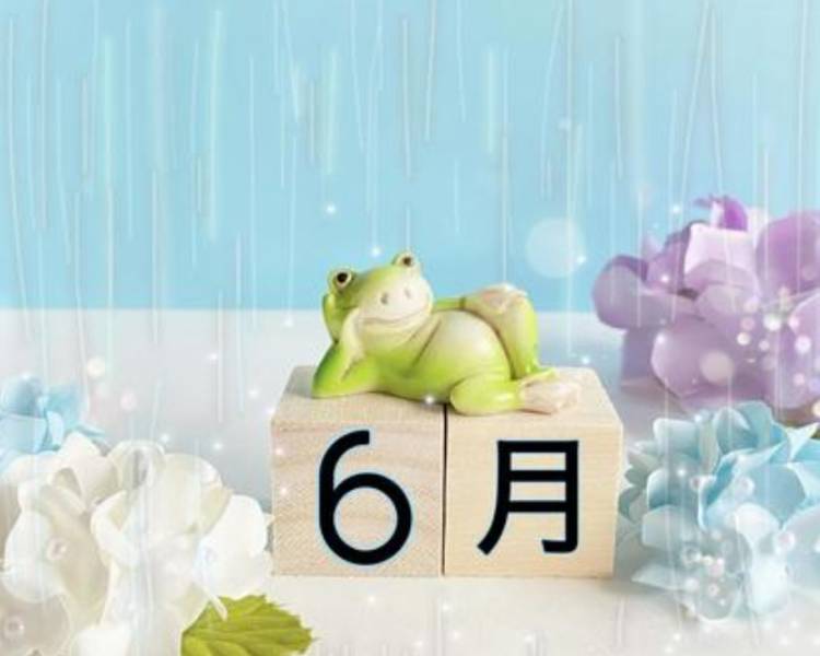 大田智子