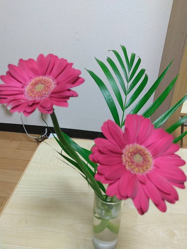 先程のお礼。