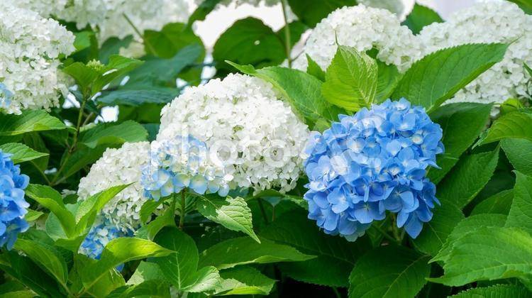 Oさま。今日のお礼です