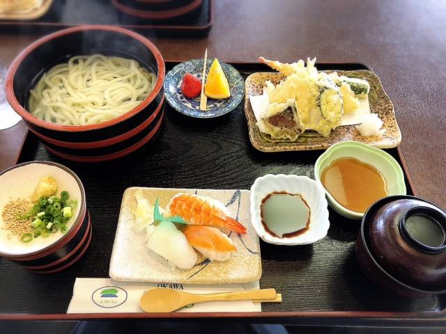 ハクビシン発見