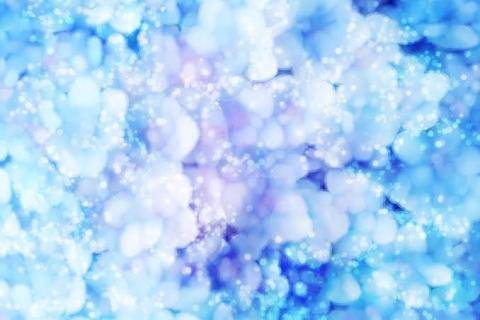 会津愛子