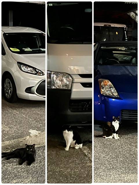 出勤しました(*´ω`*) 今回長文、ご注意よ?☆