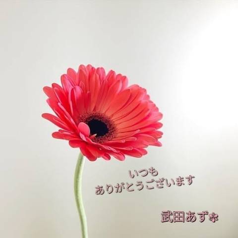 エスペランサ66の◯◯様へ☆彡