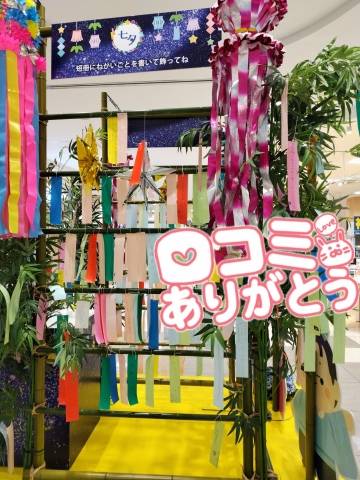 今日は七夕