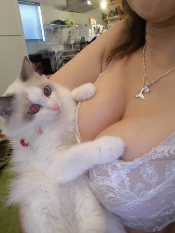 行ってらっしゃい！