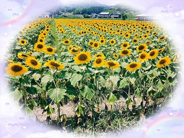 感謝しています