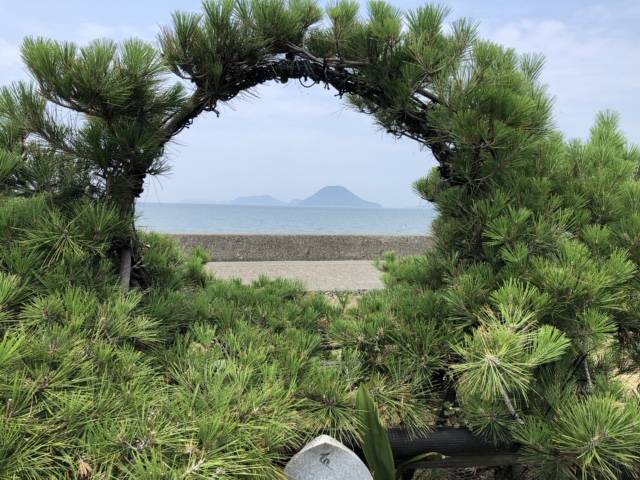 早く寝まーすおやすみ