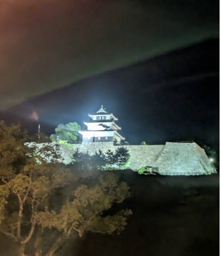 野村咲凪
