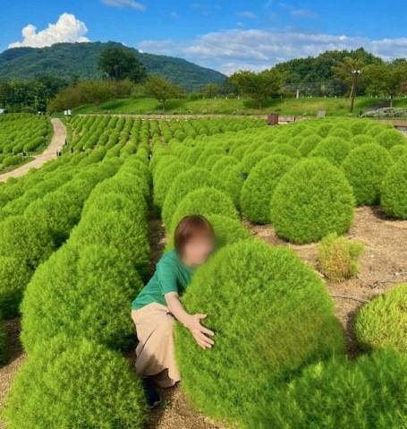 おはようございます